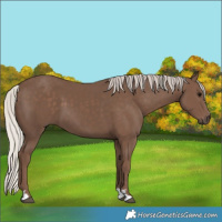 Horse Color:Silver Black 