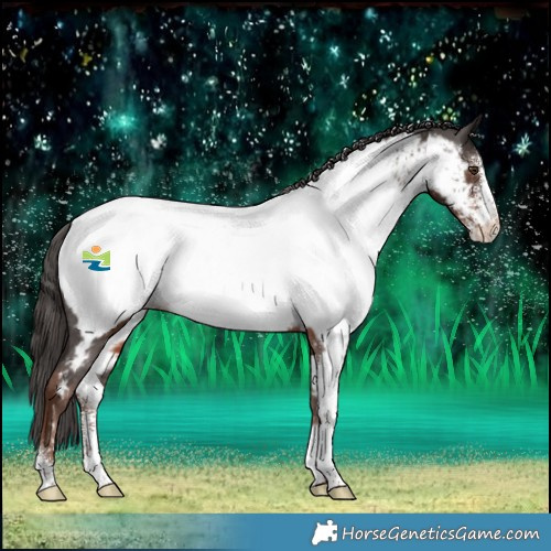 Horse Color:Liver Chestnut Sabino Near Fewspot 