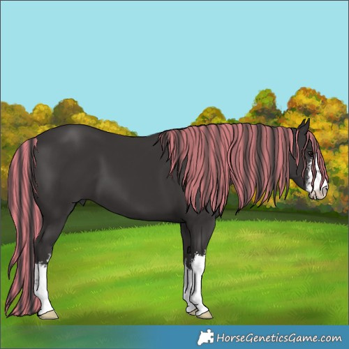 Horse Color:Painted White Spotted Smoky Black 