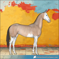 Horse Color:Sable Champagne Splash Rabicano 