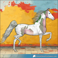 Horse Color:Watercolor Silver Buckskin Splash Tobiano Appaloosa 