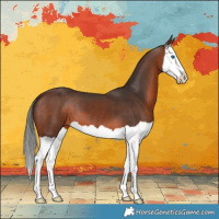 Horse Color:Brown Splash 