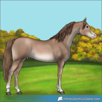 Horse Color:Black Pearl