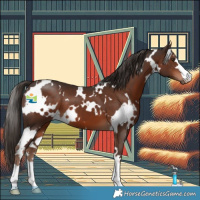 Horse Color:White Spotted Liver Chestnut