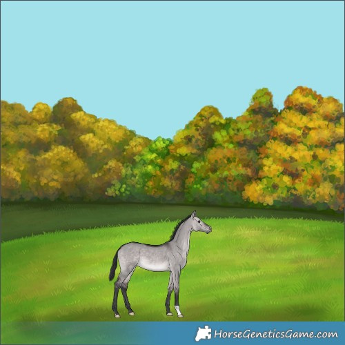 Horse Color:Platinum Brown Dun 