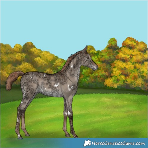 Horse Color:White Spotted Liver Red Dun Ice Rabicano 