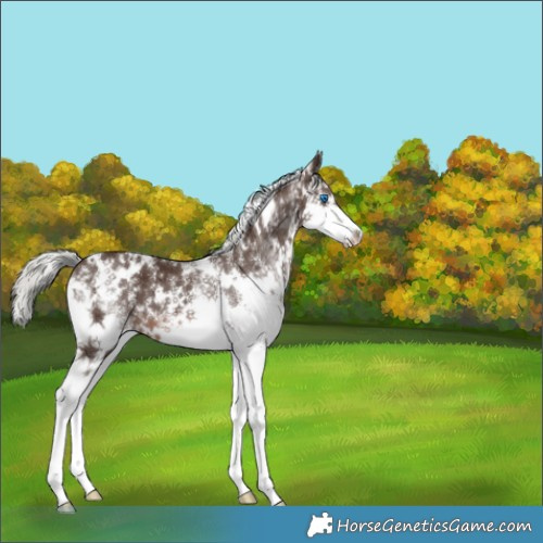 Horse Color:White Spotted Liver Chestnut Mushroom Splash 