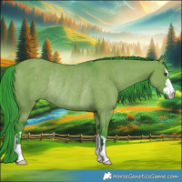 Horse Color:Watercolor Liver Red Dun Rabicano 