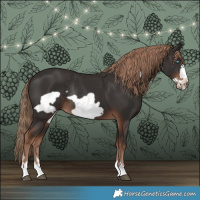 Horse Color:Liver Chestnut Frame Rabicano 
