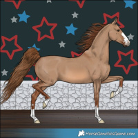 Horse Color:Red Dun