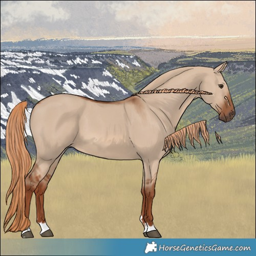 Horse Color:Red Dun 