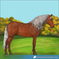 Horse Color:Silver Bay 