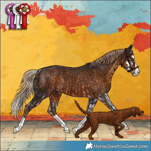 Horse Color:White Spotted Chocolate Palomino Splash Rabicano  and White Spotted Liver Chestnut Splash Rabicano 
