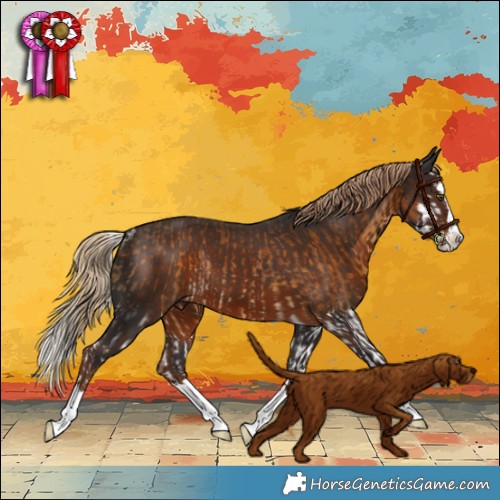 Horse Color:White Spotted Chocolate Palomino Splash Rabicano and White Spotted Liver Chestnut Splash Rabicano