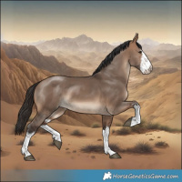 Horse Color:White Spotted Bay Dun Rabicano