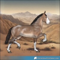 Horse Color:White Spotted Bay Dun Rabicano 