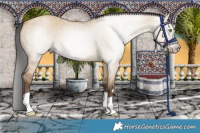 Horse Color:Gray Amber Champagne Dun