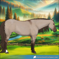 Horse Color:Liver Red Dun 