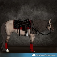 Horse Color:Liver Red Dun 