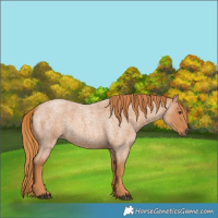 Horse Color:Red Roan 