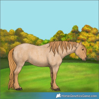 Horse Color:Red Roan 