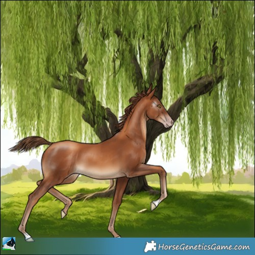 Horse Color:Gray Gold Champagne 