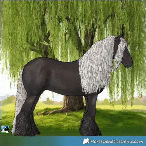 Horse Color:Liver Chestnut Mushroom 
