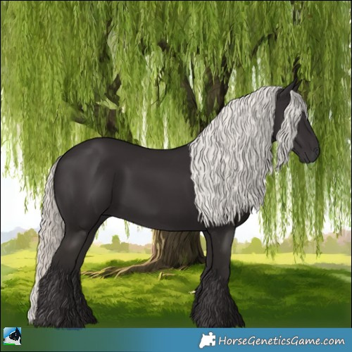 Horse Color:Liver Chestnut Mushroom 