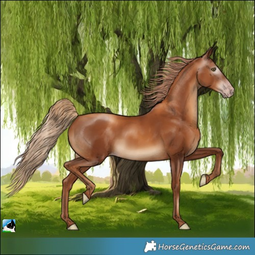 Horse Color:Gray Gold Champagne 