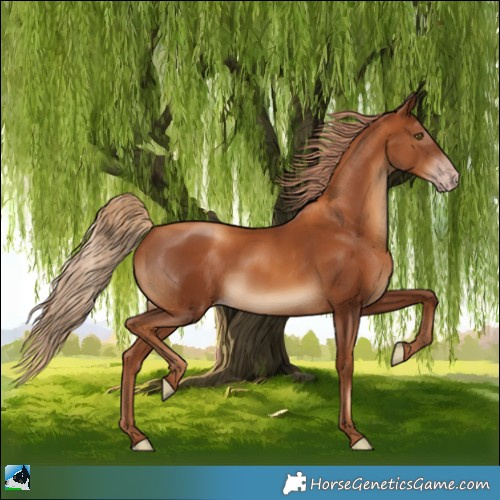 Horse Color:Gray Gold Champagne 