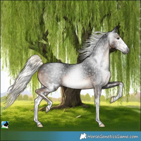 Horse Color:Gray Liver Chestnut Mushroom Sabino