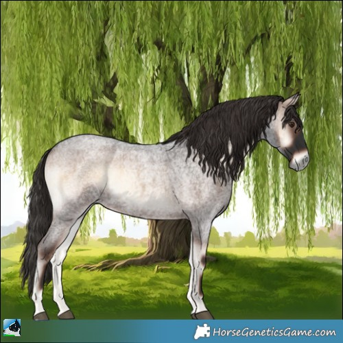 Horse Color:Liver Red Onyx Roan Rabicano 