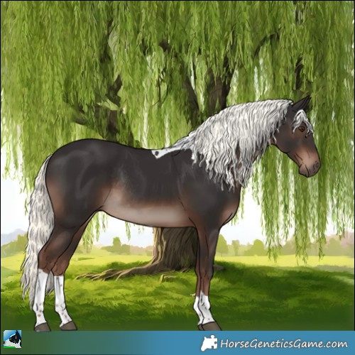 Horse Color:Liver Chestnut Mushroom Tobiano Rabicano