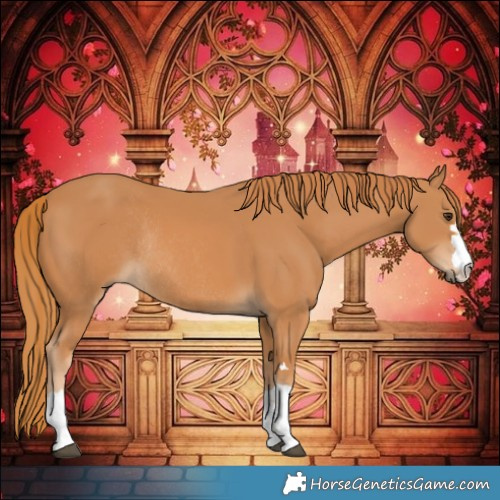 Horse Color:Chestnut Rabicano 