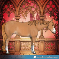 Horse Color:Chestnut Rabicano 