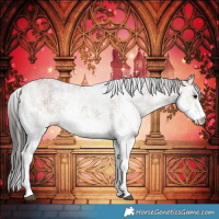 Horse Color:White Spotted Bay 