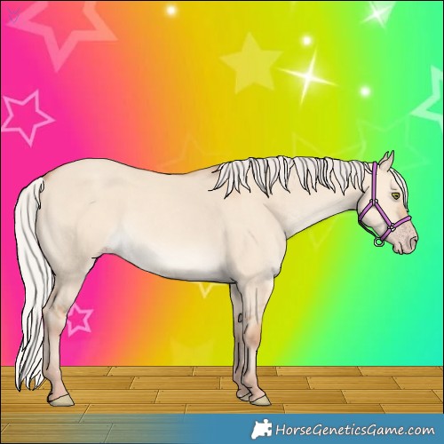 Horse Color:Silver Classic Champagne Dun Rabicano 