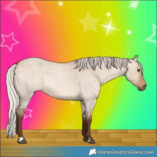 Horse Color:Silver Bay Roan Dun Rabicano 