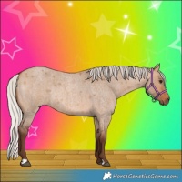 Horse Color:Silver Bay Roan Dun Rabicano 