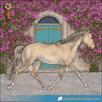 Horse Color:Chocolate Palomino Dun Tobiano Rabicano