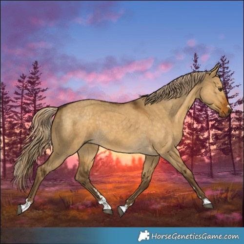 Horse Color:Chocolate Palomino Dun 