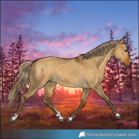 Horse Color:Chocolate Palomino Dun 