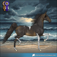 Horse Color:Buckskin Tobiano