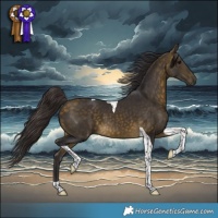 Horse Color:Buckskin Tobiano