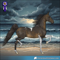 Horse Color:Buckskin Tobiano