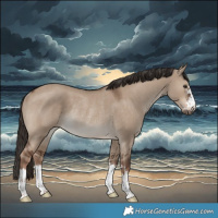 Horse Color:Liver Red Dun Rabicano