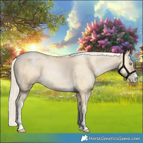 Horse Color:Palomino Pearl 