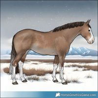Horse Color:White Spotted Liver Red Dun Splash 