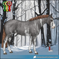 Horse Color:White Spotted Liver Red Roan