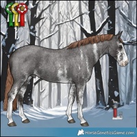 Horse Color:White Spotted Liver Red Roan 
